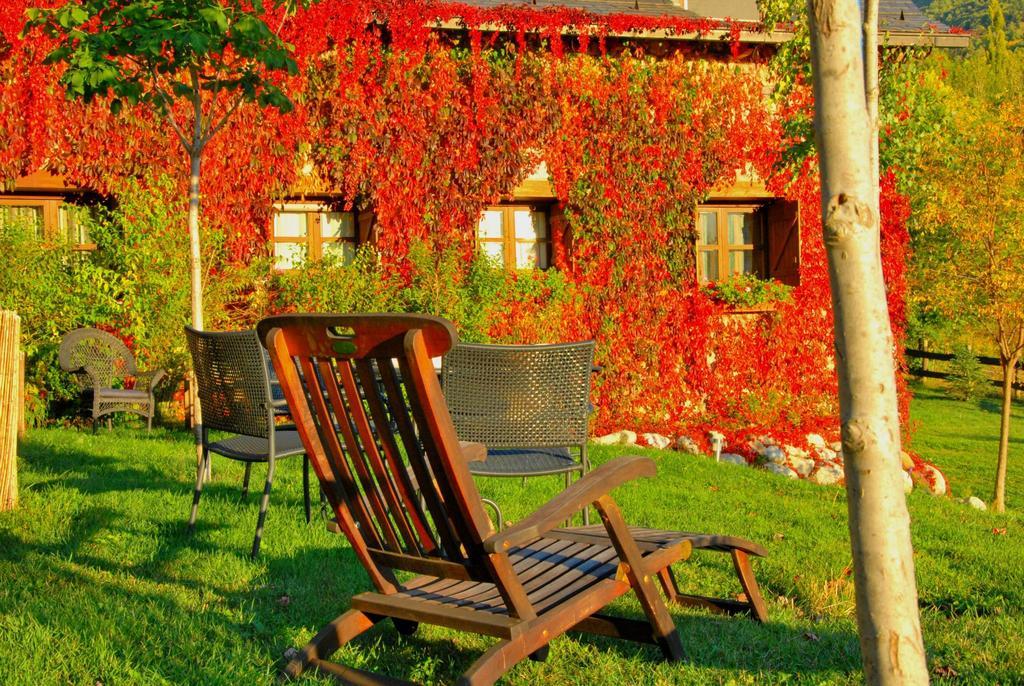Hotel Selba D'Ansils Benasque Ngoại thất bức ảnh